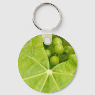 Porte-clés raisins en maturation