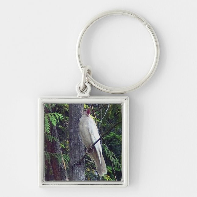 Porte-clés rare corbeau blanc (Devant)