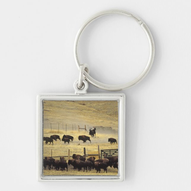 Porte-clés Rassemblement du National Bison Range dans le Mont (Devant)