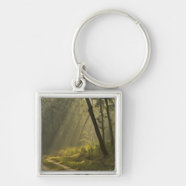 Porte-clés Rayons de lumière du matin à travers les arbres da (Devant)