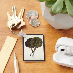 Porte-clés Rayons vintages, Animaux de la vie marine