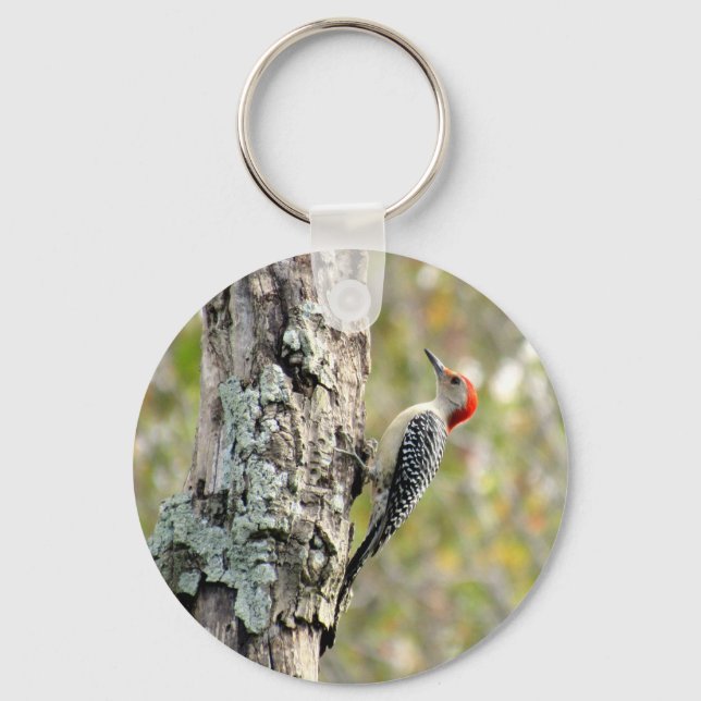 Porte-clés Red Bellied Woodpecker -  Key Chain (Recto)