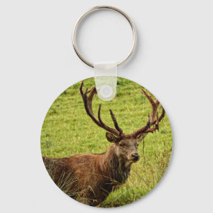 Porte-clés Red Deer Stag