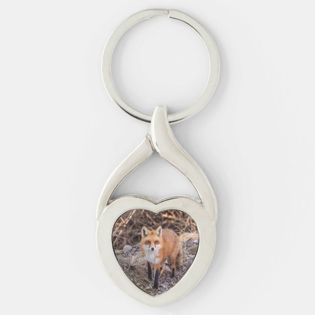 Porte-clés Red Fox de près et personnel (Devant)