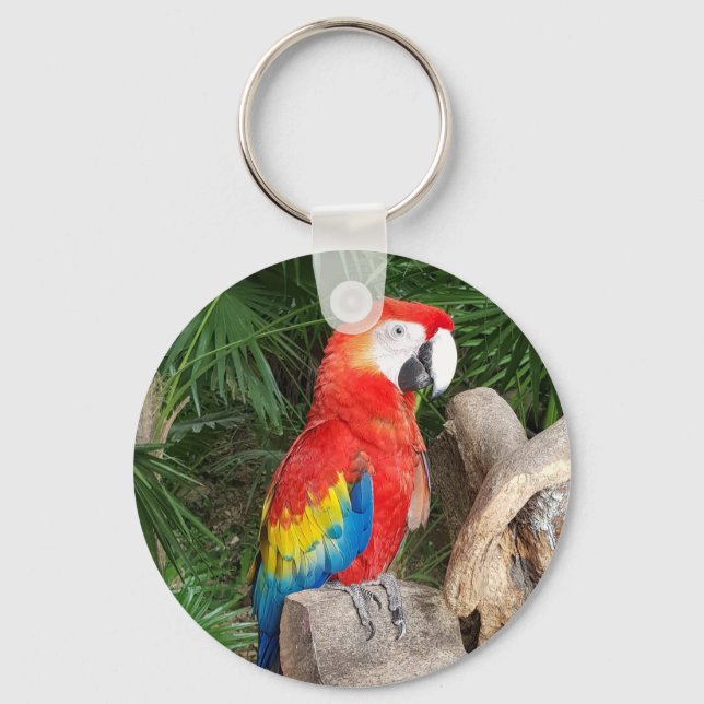 Porte-clés Red parrot keyring (Recto)