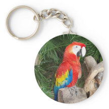 Red parrot keyring