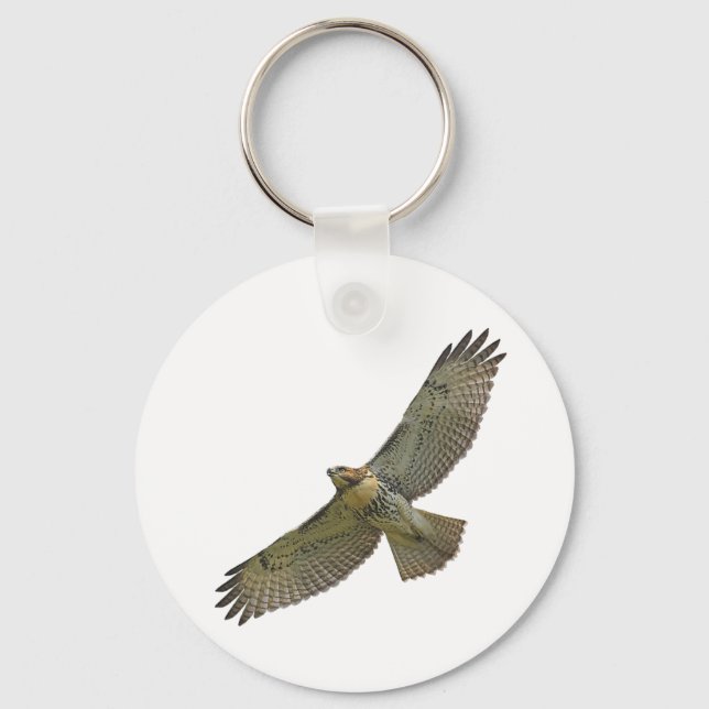 Porte-clés red-tail soaring Keychain (Recto)