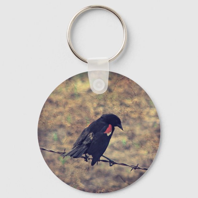 Porte-clés Red Wing Blackbird sur Barbed (Recto)