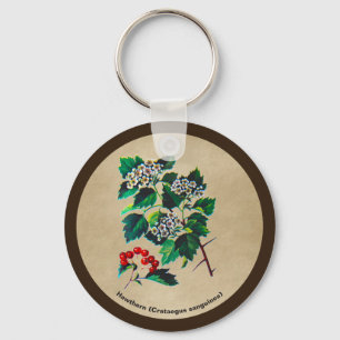 Porte-clés Redhaw Hawthorn sur vieux papier