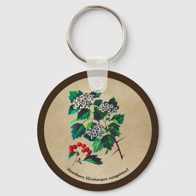 Porte-clés Redhaw Hawthorn sur vieux papier (Recto)