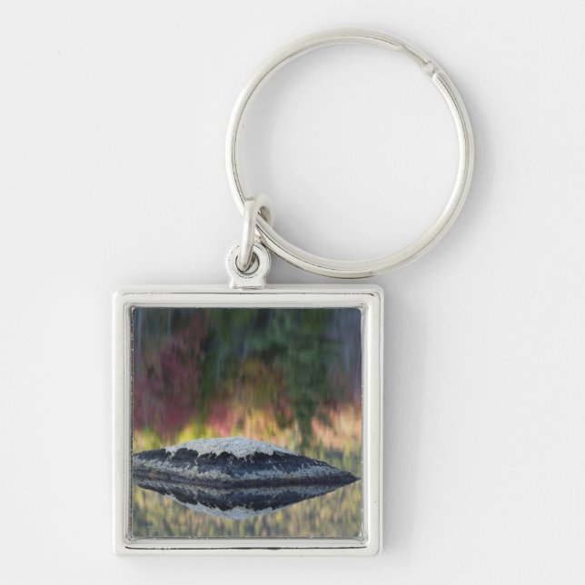 Porte-clés Reflet de roche et d'arbre, étang aux nénuphars, W (Devant)