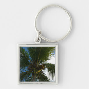 Porte-clés Regard sur le palmier à coco Nature tropicale