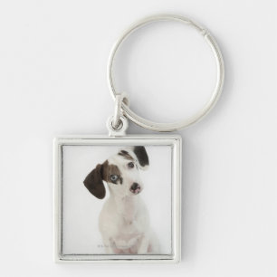 Porte-clés Regarder femelle de chiot de teckel/chiwawa