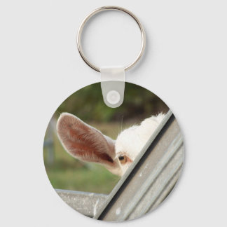 Porte-clés Regardez une chèvre blanche en chèvre ! Image d'at