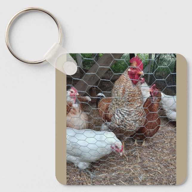 Porte-clés Règles de propriété (Recto)