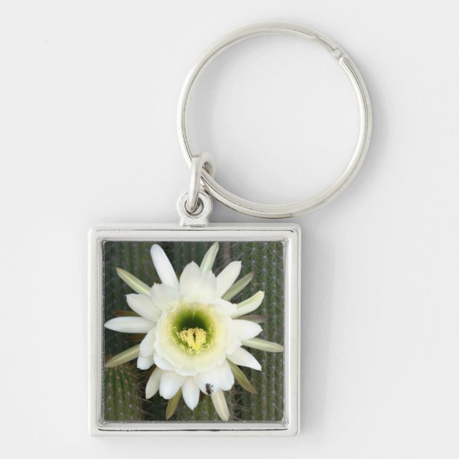 Porte-clés Reine de la Fleur de Cactus de Nuit, Région du Kar (Devant)