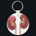 Porte-clés reins<br><div class="desc">les reins coupés sont beaux</div>