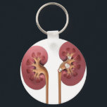 Porte-clés reins<br><div class="desc">les reins coupés sont beaux</div>