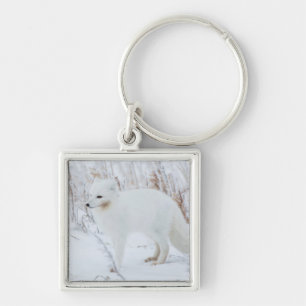 Porte-clés Renard Arctique