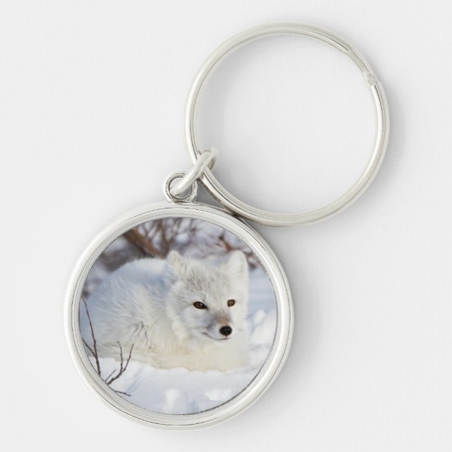 Porte-clés Renard arctique en hiver (Devant)