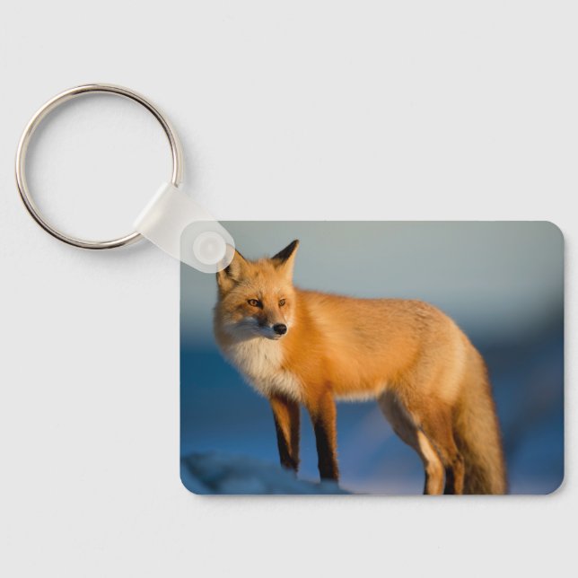 Porte-clés Renard Brown (Verso)