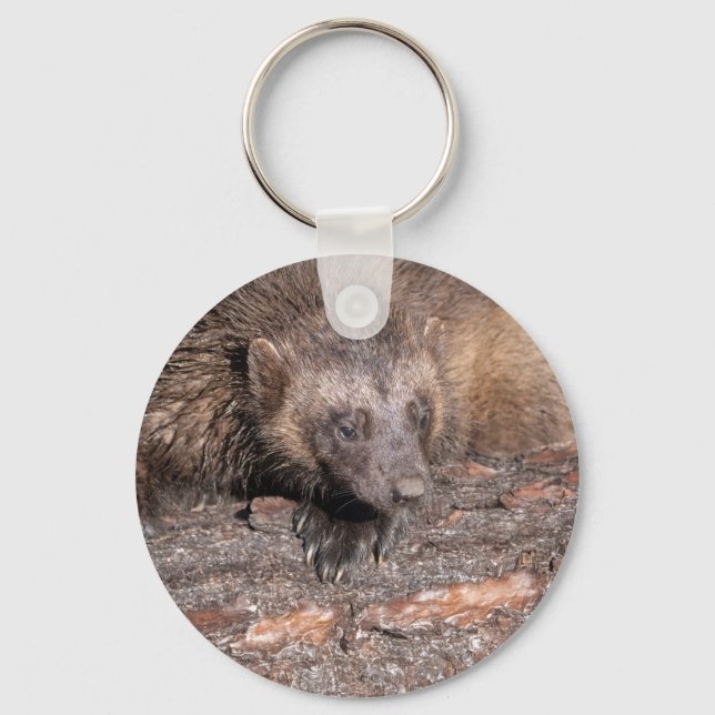 Porte-clés Rencontre rapprochée avec le Wolverine (Recto)