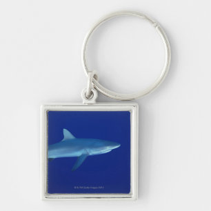 Porte-clés Requin