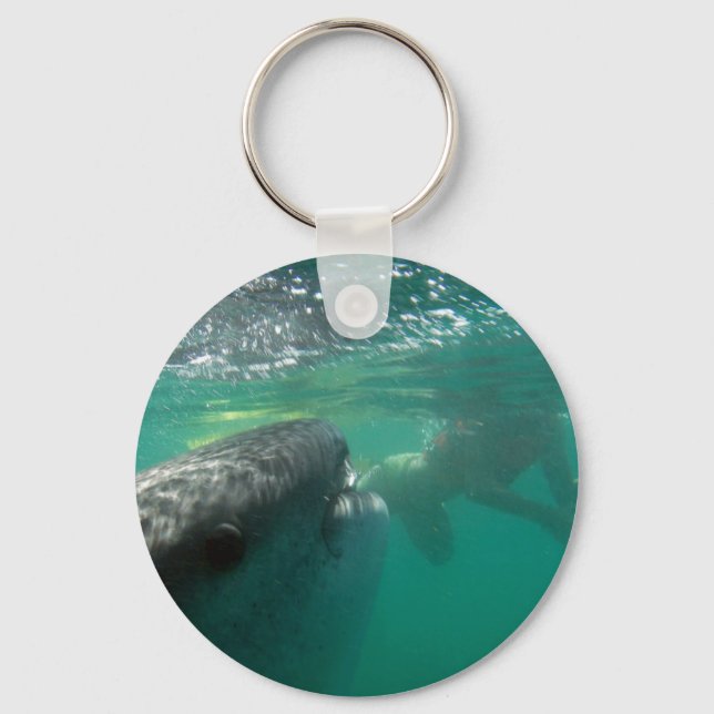 Porte-clés Requin baleine et nageur (Recto)