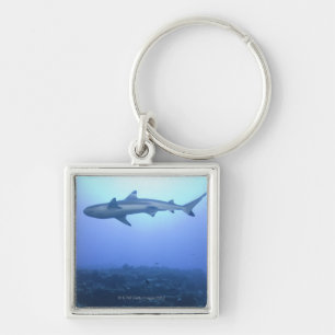 Porte-clés Requin dans l'océan, vue d'angle faible