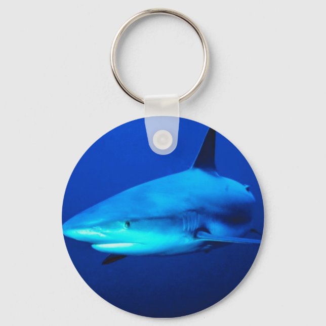 Porte-clés requin taureau (Recto)