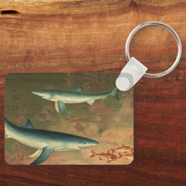 Porte-clés Requins Bleus Mangeant des Poissons, Vie Marine Vi (Recto)