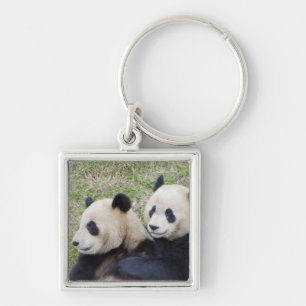 Porte-clés Réserve de Wolong, Chine, Panda géant embrassant