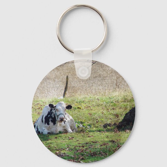 Porte-clés Resting Dairy Cow (Recto)