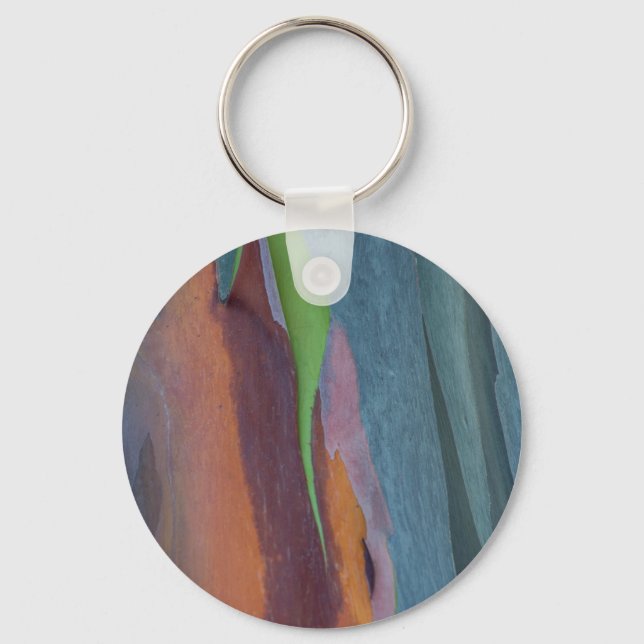 Porte-clés Résumé d'arbre à gomme arc-en-ciel (Recto)