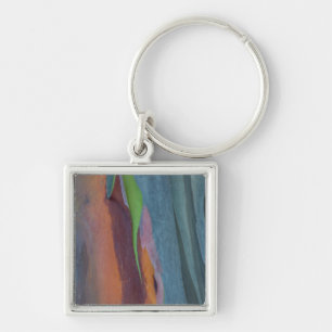 Porte-clés Résumé de l'arbre à gomme arc-en-ciel