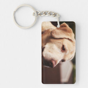 Porte-clés Retriever du Labrador
