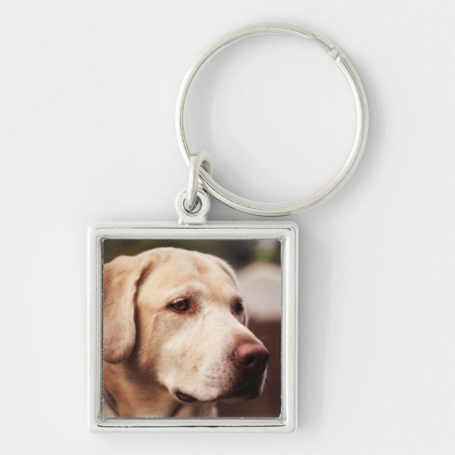 Porte-clés Retriever du Labrador (Devant)