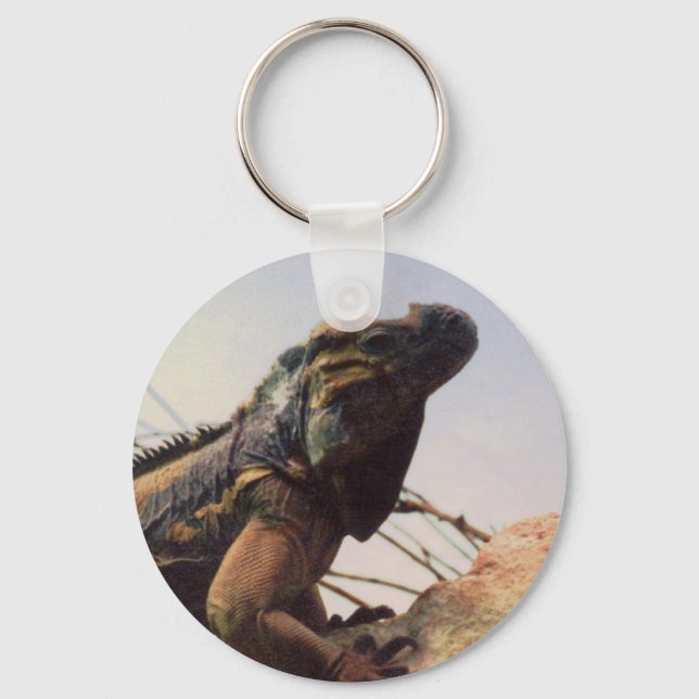 Porte-clés Rhinoceros Iguana (Recto)