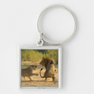 Porte-clés Rivière de Timbavati, parc national de Kruger, le