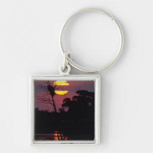 Porte-clés Rivière Sabi au coucher du soleil, Parc national K
