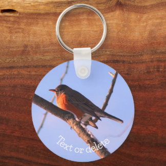 Porte-clés Robin Dans La Faune De Neige Nature Personnalisée