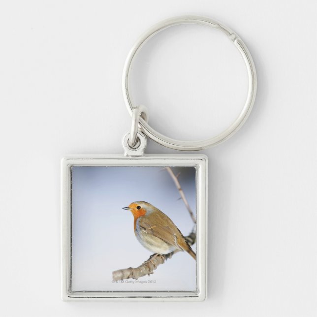 Porte-clés Robin était perché sur une branche en hiver (Devant)