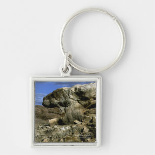 Porte-clés Roche de champignons