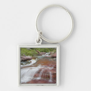 Porte-clés Rocher rouge dans Baring Creek dans Glacier Nation