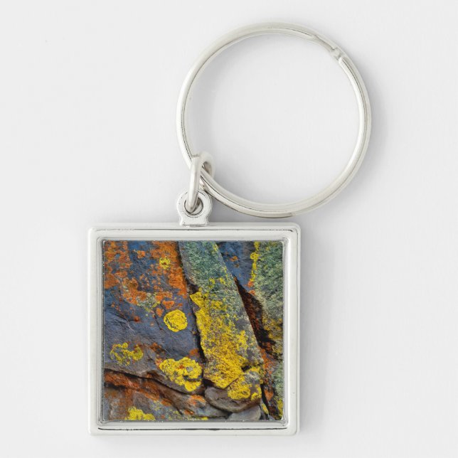 Porte-clés Rochers couverts de lichen (Devant)