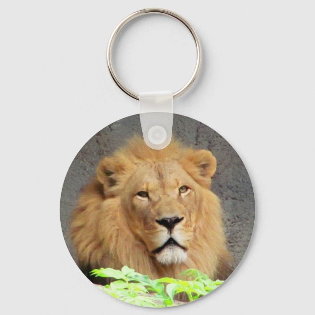 Porte-clés Roi Lion Mane Homme de la Fierté (Recto)