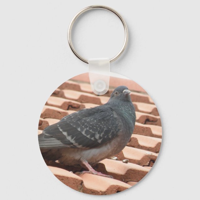 Porte-clés Rooftop Pigeon Keychain (Recto)