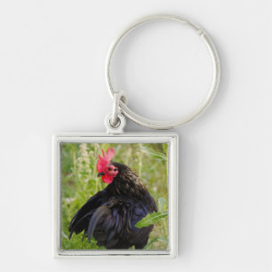 Porte-clés Rooster Portrait