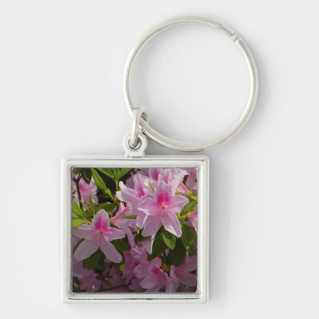 Porte-clés Rose Azalea Bush printemps floral (Devant)