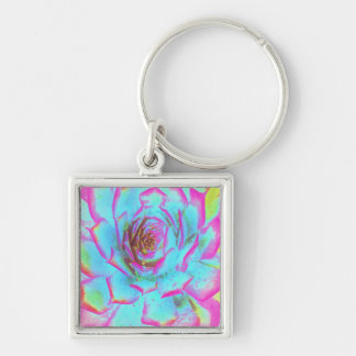 Porte-clés Rosette de Sedum Succulent Rose Chaud et Bleu